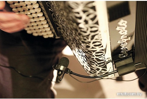 Комплект проводных микрофонов Prodipe AL21 Romanelli Accordion