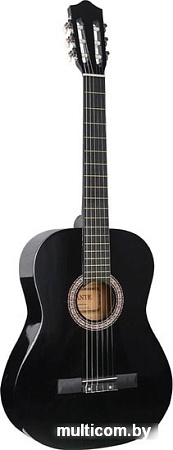 Акустическая гитара Fante FT-C-B39-BK