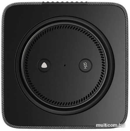 Умная колонка Яндекс Станция Макс (с хабом умного дома Zigbee, графит)