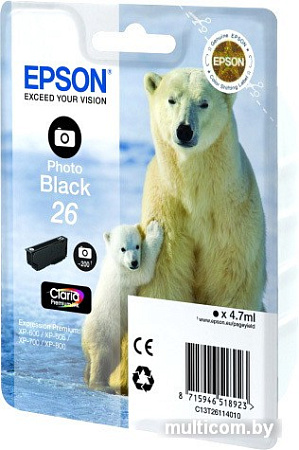 Картридж Epson C13T26114010