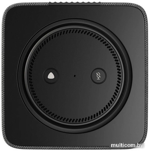 Умная колонка Яндекс Станция Макс (с хабом умного дома Zigbee, графит)