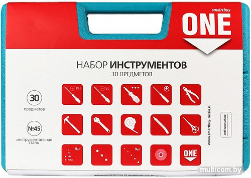 Универсальный набор инструментов Smart Buy SBT-TS-31P1 (31 предмет)