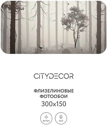 Фотообои Citydecor Dark Side 35 300x150