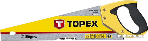 TOPEX 10A446