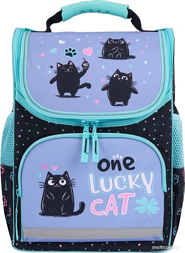 Школьный рюкзак Пифагор Basic. Funny Cats 273135