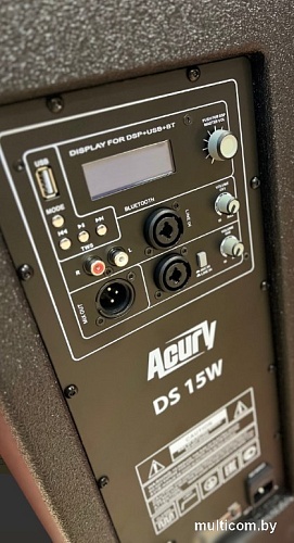 Активная акустика Acury DS15W