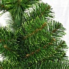 Ель GreenTerra Ель с зелеными концами 1 м