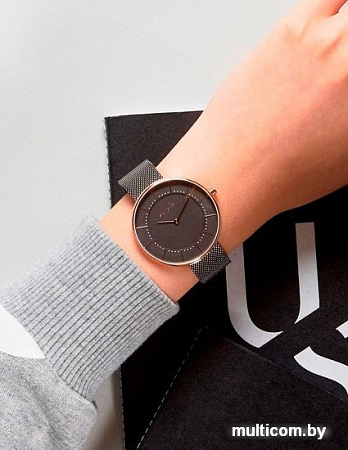 Наручные часы Skagen SKW2584