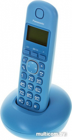 Радиотелефон Panasonic KX-TGB210RUF
