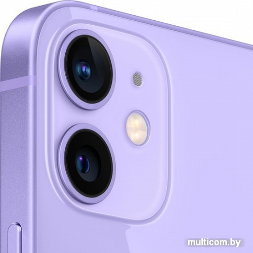Смартфон Apple iPhone 12 mini 256GB (фиолетовый)
