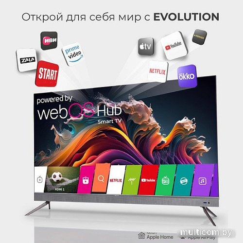 Телевизор Evolution WOS65MR1SBUHD