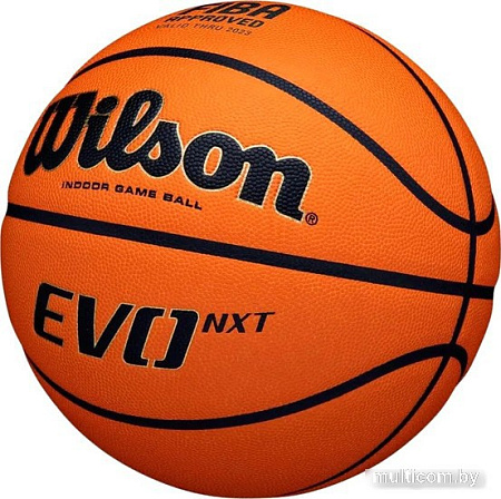 Баскетбольный мяч Wilson Evo Nxt WTB0965XB7 (7 размер)