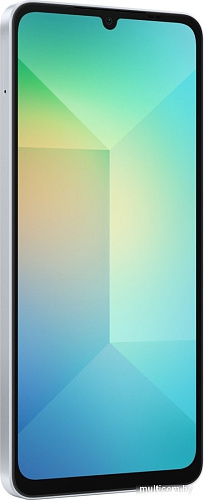 Смартфон Samsung Galaxy A06 SM-A065F 6GB/128GB (голубой)
