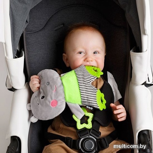 Прорезыватель Мякиши Бегемотик Димочка 725