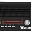 Радиоприемник Ritmix RPR-030 (черный/бордовый)