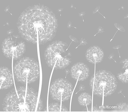 Фотообои Citydecor Цветы и Растения 9 300x260