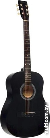 Акустическая гитара Terris TF-380A BK