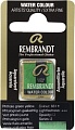 Rembrandt 681 05866811 (фтало желто-зеленый, кювета)