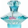 Парфюмерная вода Britney Spears Curious EdP (100 мл)