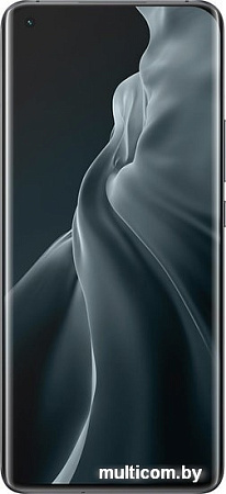 Смартфон Xiaomi Mi 11 8GB/256GB (черный)