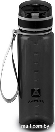 Бутылка для воды Арктика 720-500-BK 500мл (черный)