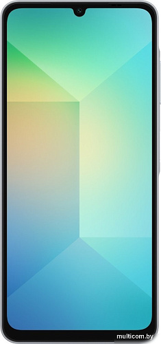 Смартфон Samsung Galaxy A06 SM-A065F 6GB/128GB (голубой)