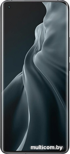 Смартфон Xiaomi Mi 11 8GB/256GB (черный)