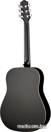 Акустическая гитара Naranda DG220BK