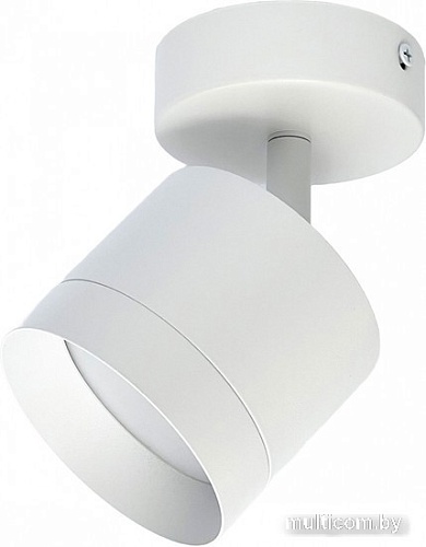 Спот TruEnergy 21027