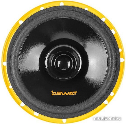 Широкополосная АС Swat SP-H6