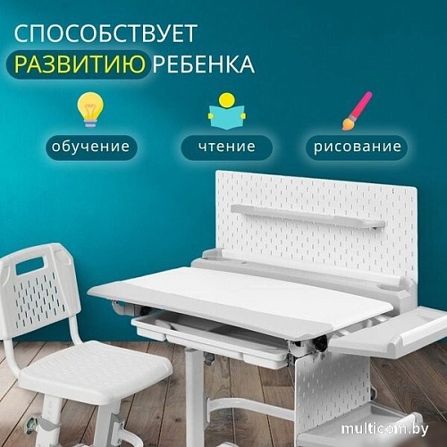 Парта Nika РСП3/С