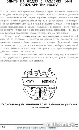Книга издательства МИФ. Психология. Люди, концепции, эксперименты (Клейнман П.)