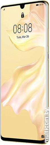 Смартфон Huawei P30 Pro VOG-L29 Dual SIM 8GB/256GB (светло-голубой)