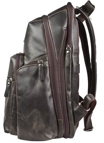 Carlo Gattini Sinfonica Bertario 3102-04 (темно-коричневый)