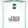 Парфюмерная вода Ajmal Free Spirit EdP (100 мл)