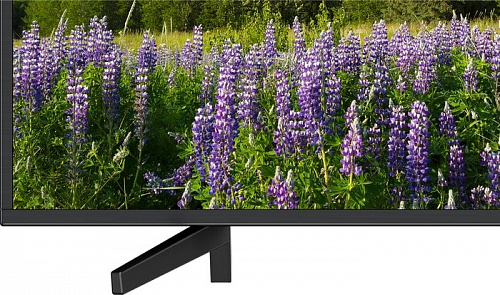 Телевизор Sony KD-49XF7096