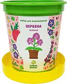 Набор для опытов Happy plant Вербена нежная hpn-32