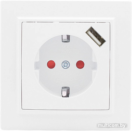 Розетка EKF Basic Минск ERR16-028-100-USB