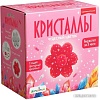 Набор для опытов Bumbaram Кристаллы. Чудесный цветок красный A127