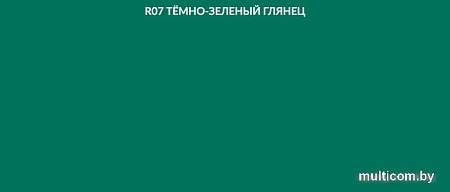 Грунт-эмаль Sniezka На ржавчину 0.65 мл (R07 темно-зеленый глянец)