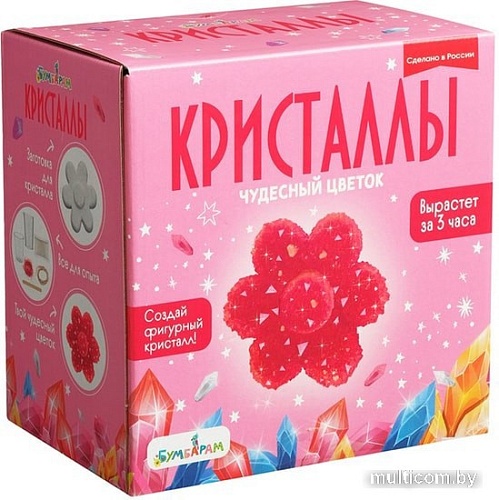 Набор для опытов Bumbaram Кристаллы. Чудесный цветок красный A127