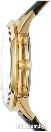 Наручные часы Fossil Townsman FS5599