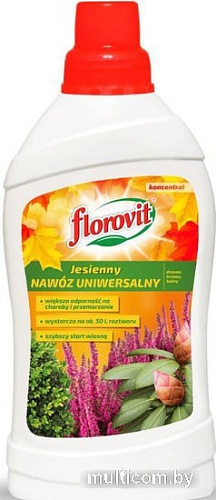 Florovit Универсальный осенний (1 л)