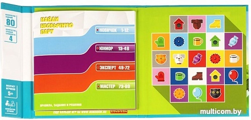 Развивающая игра Bondibon Найди необычную пару ВВ5075