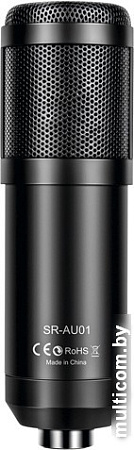 Проводной микрофон 7Ryms SR-AU01-K2