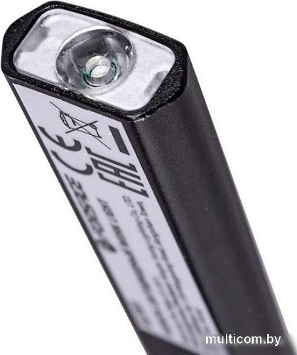 Фонарь FORSAGE F-EL2301