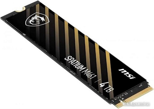 SSD MSI Spatium M461 4TB S78-440R030-P83