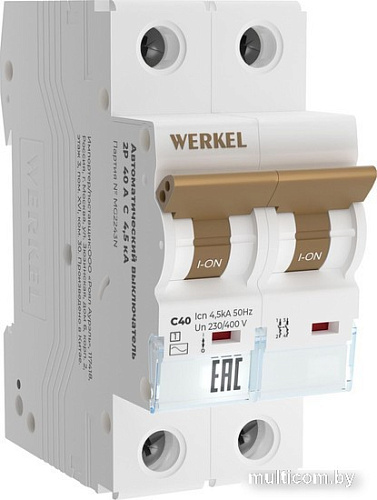 Выключатель автоматический Werkel 2P 40 A C 4.5 кА W902P404