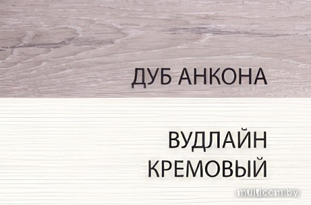 Шкаф-пенал Anrex Olivia 1DZ (вудлайн крем/дуб анкора)