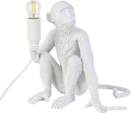 Настольная лампа Evoluce Tenato SLE115104-01